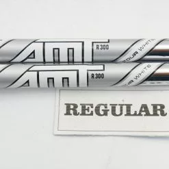 New True Temper Dynam Gold Amt Tour White R300 37-38.5" 6p Iron Shaft Set 977557 -Deals Shafts Store 00977557 4 87671.1654627342